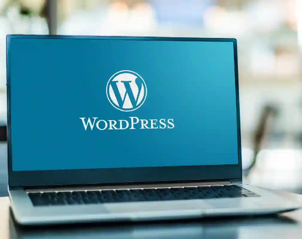 WordPress Website Developer in Lucknow