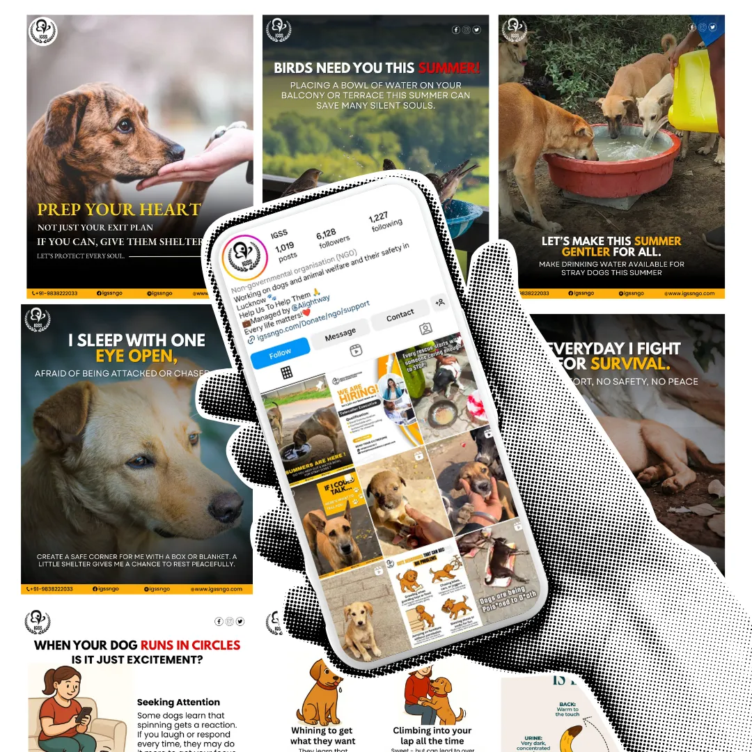 Digital Transformation of IGSS